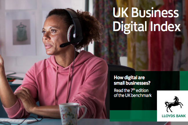 Lloyds BDI image lady using a computer at home